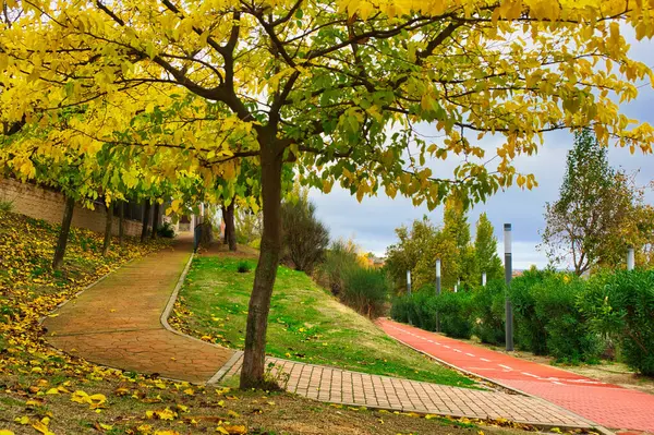 Парк Дорожкой Велодорожкой Осенью Арройомолинос Мадрид Испания — стоковое фото