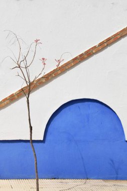 Ön planda küçük bir ağaç ve tuğla kenarlı bir duvar ve Tembleque, Toledo 'da (İspanya) yoğun mavi kemer ile süslenmiş bir ön cephe minimalist görüntüsü.).