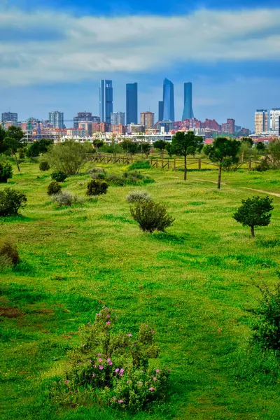 Valdebebas Orman Parkı, Madrid (İspanya) manzarası, arka planda şehir silueti, Cuatro Torres İş Alanının göze çarpan binaları.