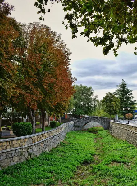 Arka planda bir ortaçağ köprüsü bulunan akarsu, Madrid 'in Colmenar del Arroyo kasabasında (İspanya)).