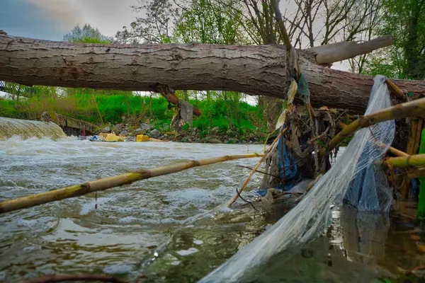 Madrid Topluluğu 'ndaki (İspanya) Guadarrama Nehri' nin Ortaçağ Parkı 'ndaki çöplük ve kirletici atıklar).