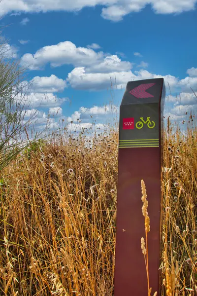 Madrid Topluluğu 'ndaki (İspanya) bisiklet rotası bir buğday tarlası ve bulutlu gökyüzü arka planında.