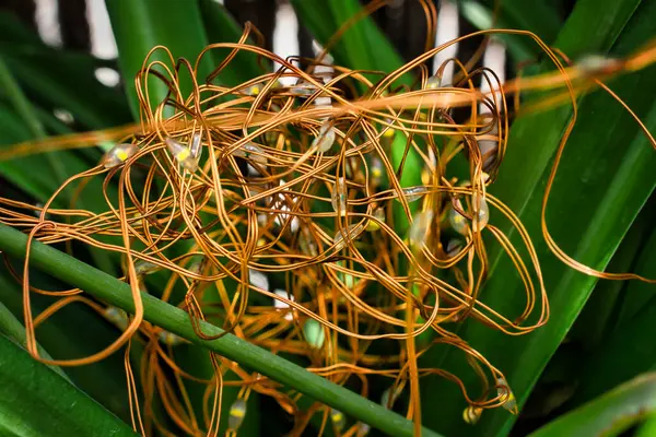 Yeşil arkaplanda bakır kabloların karışıklığı.