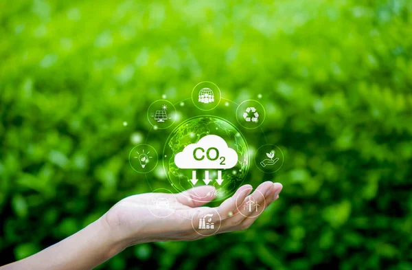Reduce CO2 emission concept. Environmental icons in hand. Carbon footprint environment, Renewable clean, and Sustainable energy, Low carbon, Globe climate change risk, Global warming, reduction co2,