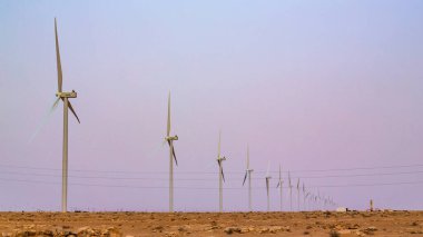 Boujdour, Fas - 18 Haziran 2022: Fas 'taki Boujdour parkında rüzgar türbinleri
