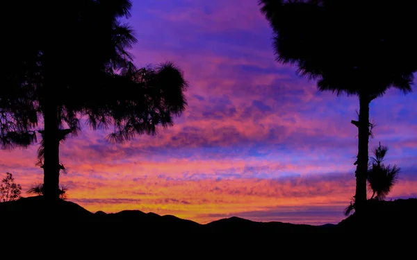 Horská Krajina Půlměsícem Purpurovou Oblohou Cedrovým Stromem — Stock fotografie
