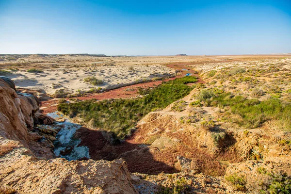 Оазис Невеликий Водоспад Посеред Марокканської Сахари — стокове фото