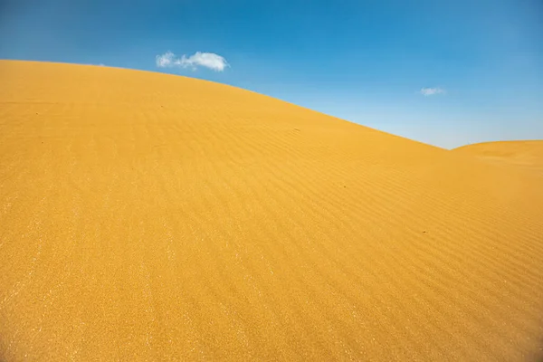 모로코 의사하라 사막의 — 스톡 사진
