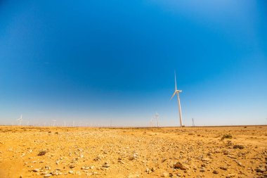 Fas 'taki Tarfaya parkında rüzgar türbinleri