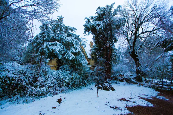 Kis Ház Erdőben Tele Hóval — Stock Fotó