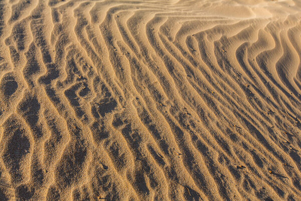 Песчаные дюны пустыни Сахара Марокко