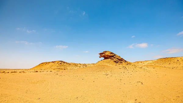 Roca León Medio Del Sahara Marroquí — Foto de Stock