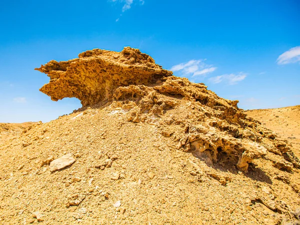 Камінь Лева Посеред Марокканської Сахари — стокове фото