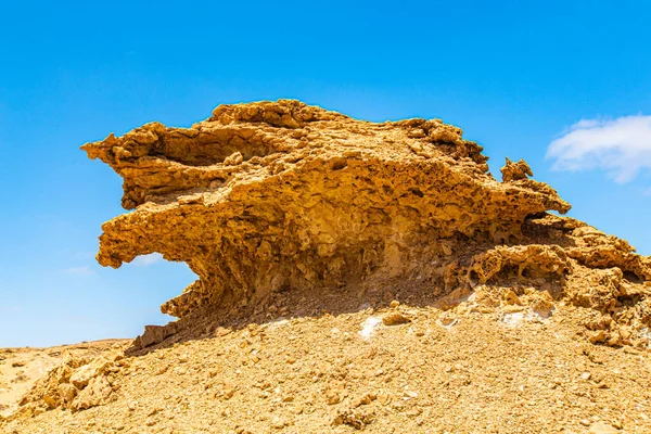Roca León Medio Del Sahara Marroquí — Foto de Stock