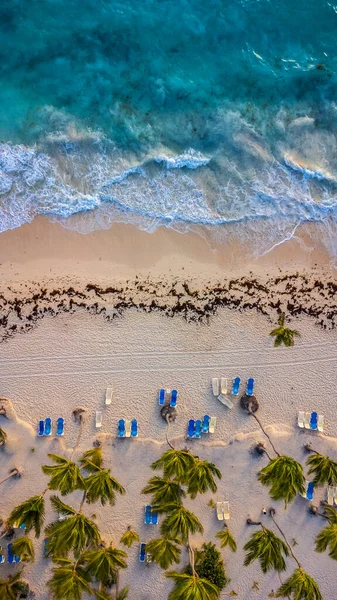 Dalgalar ve palmiye ağaçlarıyla Bavaro sahilinin insansız hava aracı çekimi, Punta Cana, Dominik Cumhuriyeti. Fotoğraf Nisan 2022 'de çekildi..