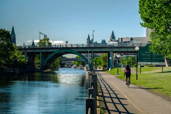 stock image Man cycling along the Rideau Canal on a beautiful summer day, Ottawa, Ontario, Canada. Photo taken in August 2022.