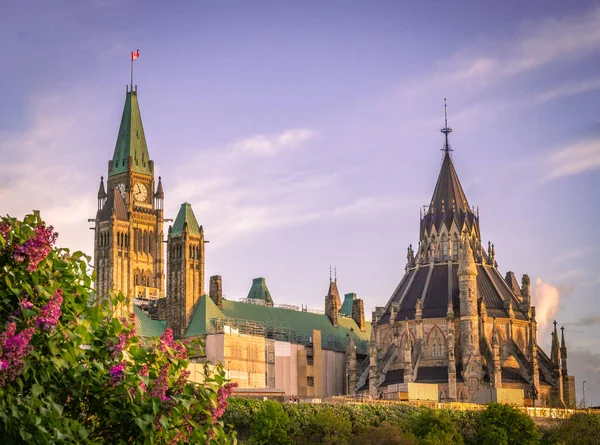 Parliament of Canada during lilac season, Ottawa, Ontario, Canada. Photo taken in May 2022.