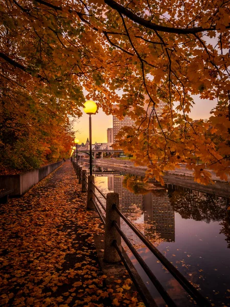 Фото Канала Ридо Осенью Листьями Дорожке Фонарным Столбом Оттава Онтарио — стоковое фото