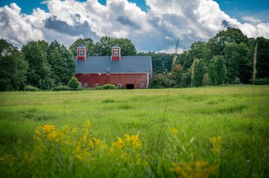 Greensboro, Vermont, ABD 'de ağaçlarla çevrili kırmızı bir ahırın huzurlu manzarası. Fotoğraf Ağustos 2023 'te çekildi..