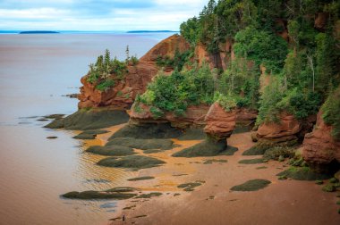 Hopewell Kayalıkları İl Parkı 'nın alçak gelgitte, Fundy Körfezi, Hopewell Burnu, New Brunswick, Kanada. Fotoğraf Eylül 2023 'te çekildi..