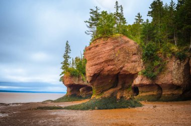 Hopewell Rocks Provincial Park bulutlu bir günde dalgalı bir günde, Hopewell Cape, New Brunswick, Kanada. Fotoğraf Eylül 2023 'te çekildi..