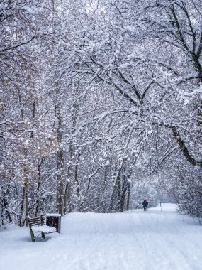 Kar yağışı sırasında Rideau Nehri boyunca kış harikalar diyarına kar ayakkabıları, Ottawa, Ontario, Kanada boyunca karla kaplı park bankları ve ağaçlar. Dikey fotoğraf Ocak 2021 'de çekildi.