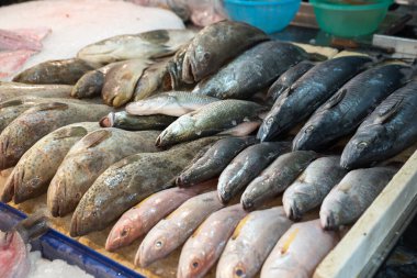 Markette tezgahta duran deniz balığı..