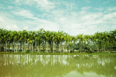Palmiye ağaçları, yeşil bir göl ve suda yansıyan bir manzara. Geniş açı. Yazın seyahat afişi ve metin için fotokopi alanı. Harita Prachan Baraj Parkı, Tayland