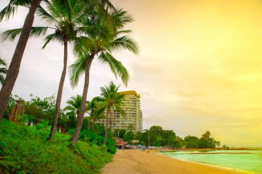 Palmiyeli bir sahil, turkuaz deniz ve sarı güneşli gökyüzü. Wong Amat Plajı, Pattaya.