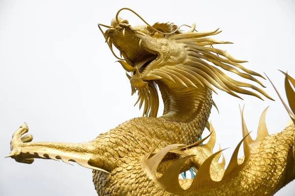 Chinesischer Goldener Drache Auf Weißem Hintergrund Isoliert — Stockfoto