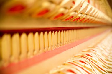 Renkli yaldızlı desenleri olan bir Budist tapınağının kaplanması, yakın plan, seçici odaklanma