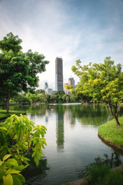 Lumpini Park 'ın gündüz vakti göl manzaralı ve yeşil ağaçlı şehir manzarası. Bangkok, Tayland. dikey çekim