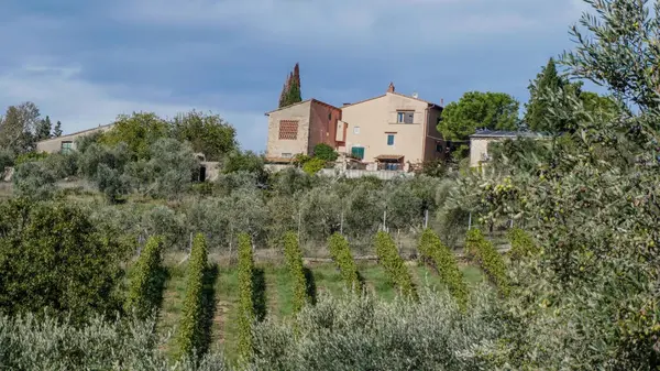 Tuscany 'nin pitoresk manzaralarında çekilmiş bir sonbahar fotoğrafları koleksiyonu. Görüntülerde yuvarlanan tepeler, bereketli sonbahar bitkileri ve günbatımında sakin denizi gösteren muhteşem bir gökyüzü var.. 