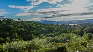 Tuscany 'nin pitoresk manzaralarında çekilmiş bir sonbahar fotoğrafları koleksiyonu. Görüntülerde yuvarlanan tepeler, bereketli sonbahar bitkileri ve günbatımında sakin denizi gösteren muhteşem bir gökyüzü var.. 