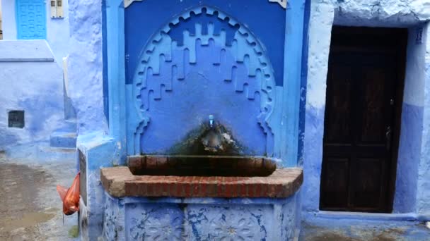 Beautiful Blue Fountain Exotic Famous Blue Town — Stock Video