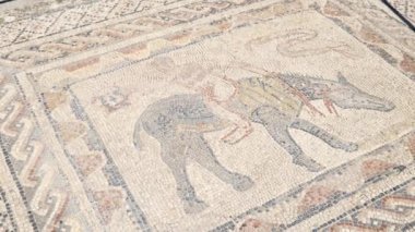 Roma Mozaik Antik Sanat Döşemeleri