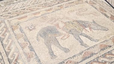 Roma Mozaik Antik Sanat Döşemeleri