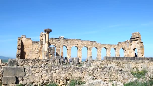 Παλαιά Ρωμαϊκά Ερείπια Αρχαία Αρχαιολογική Τοποθεσία — Αρχείο Βίντεο