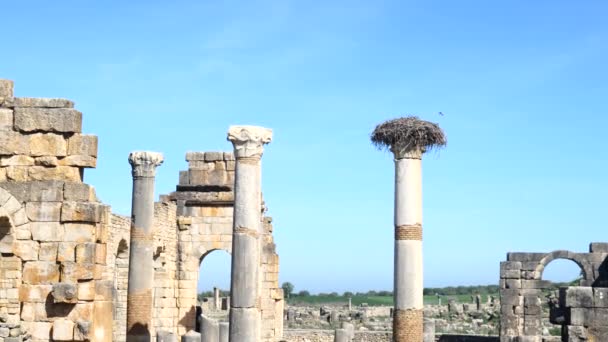 Antiguas Ruinas Romanas Sitio Arqueológico Antiguo — Vídeos de Stock