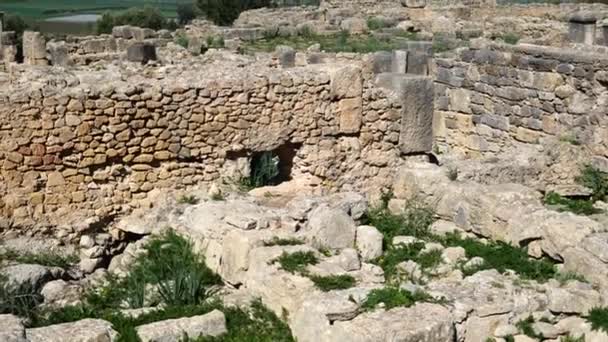 Gamla Romerska Ruiner Forntida Arkeologiska Platsen — Stockvideo
