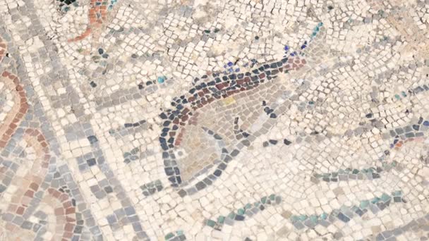 Mosaico Romano Antiguo Piso Azulejos Arte — Vídeos de Stock
