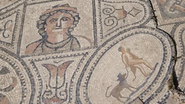 Римская Мозаика — стоковое видео
