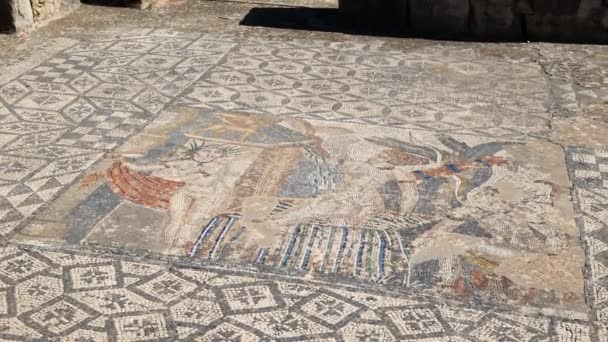 Roman Mozaic Arta Antica Placi Podea — Videoclip de stoc