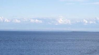 Balinanın Sırtı Uzakta Süzülüyor