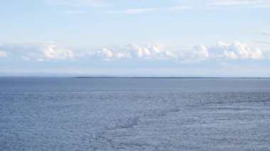 Balinanın Sırtı Uzakta Süzülüyor