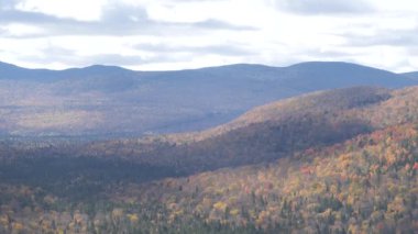 Kanada 'da göz kamaştırıcı sonbahar yaprakları. Kanada 'da sonbahar yapraklarının nefes kesici güzelliğine dalın. Canlı kırmızı, portakal ve sarılar manzarayı değiştiriyor. Bu video sonbaharın çarpıcı renklerini yakalıyor.