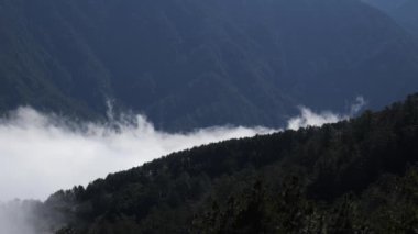 Çin Tapınağında Kırmızı Fenerler Dikey 4K Kültürel ve Ruhani Video