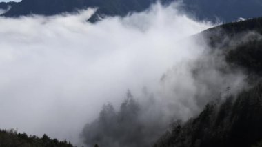 Çin Tapınağında Kırmızı Fenerler Dikey 4K Kültürel ve Ruhani Video