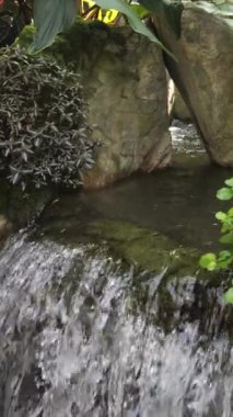 Çin Tapınağında Kırmızı Fenerler Dikey 4K Kültürel ve Ruhani Video