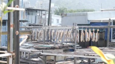 Çin Tapınağında Kırmızı Fenerler Dikey 4K Kültürel ve Ruhani Video